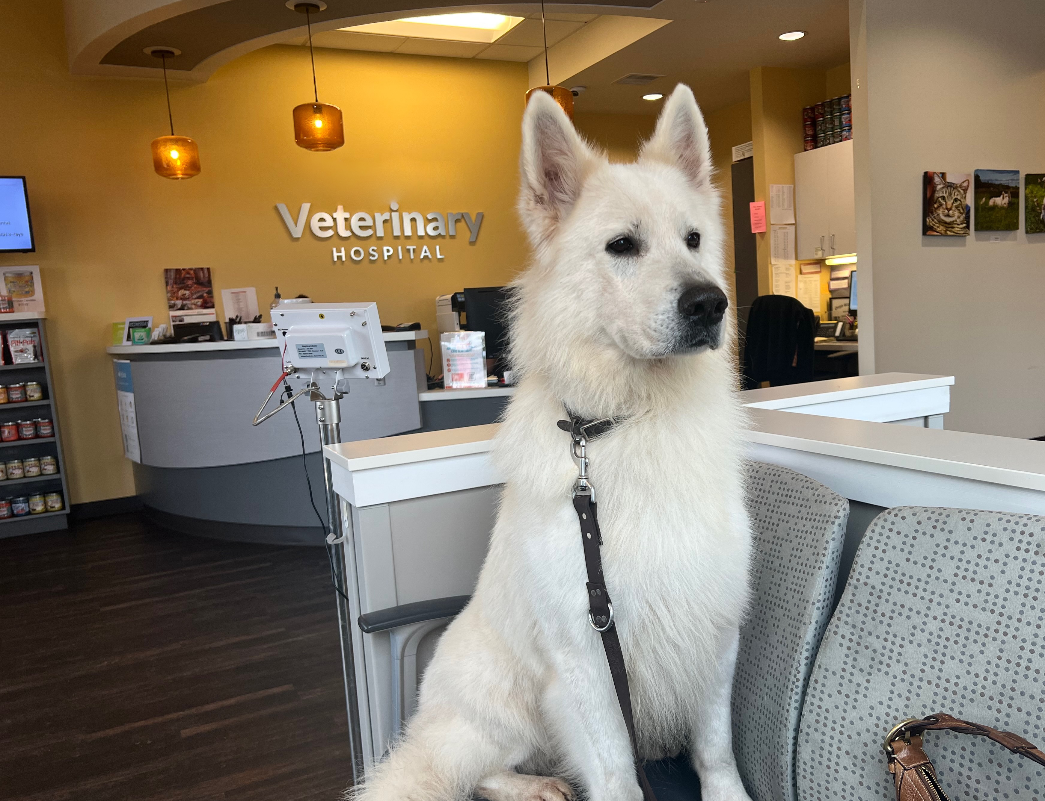 Breed Health Information