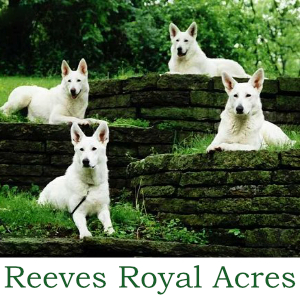 Reeves Royal Acres