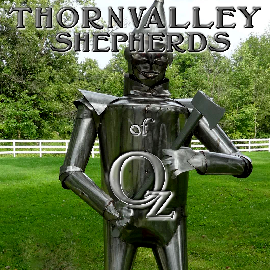 Thornvalley Shepherds